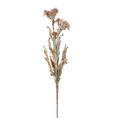 GLITTERED THISTLE SPRAY 27.5" BROWN