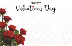 CARD VALENTINE'S DAY ROSE 50/PKG