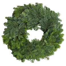 42" NOBLE FIR, 24" RING