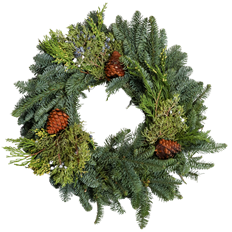 20"MIXED EVGRN W/CONES 10"RING