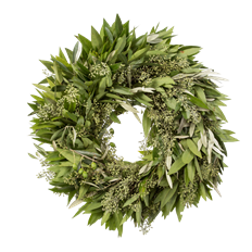 OLIVE, NAKED & SEEDED EUC WRTH 12"