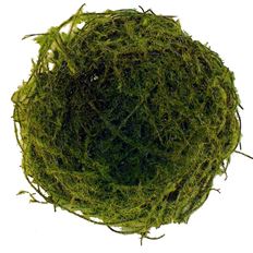 NEST 4" MOSS 6/PK