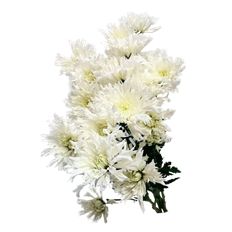 POM CUSHION NOVELTY SNOWFLAKE