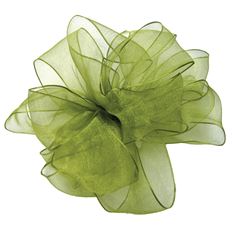 ENCORE 03 BASIL WIRED RIBBON 25YDS