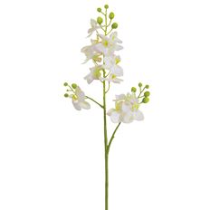 PHALAENOPSIS MINI SPRAY 27.5" WHITE