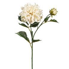 DAHLIA SPRAY 19.5" IVORY