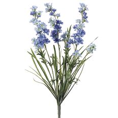 DELPHINIUM BUSH X 3 24.5&quot; BLUE