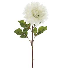 DAHLIA DINNER PLATE 25.5" CREAM