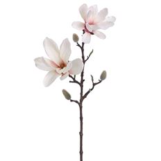 MAGNOLIA SPRAY 25" CR/PK