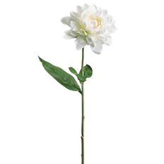 DAHLIA SPRAY 21" CREAM