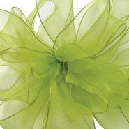 ENCORE 03 LIME WIRED RIBBON 25YDS