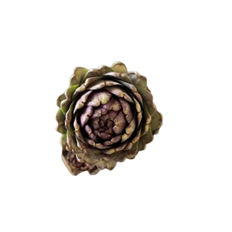 ARTICHOKES
