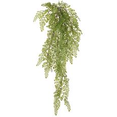 MAIDENHAIR FERN HANGING BUSH 41"