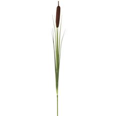 CATTAIL GRASS SPRAY 36" BR/GR