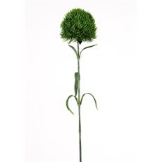 DIANTHUS SPRAY 21" DK GREEN