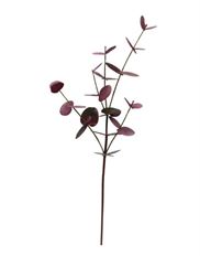 EUCALYPTUS 28" DEEP BURGANDY