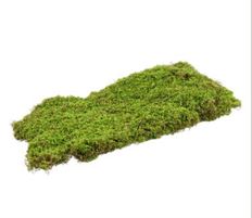 MOSS SHEET 25.5X15.5" GREEN