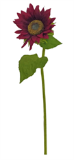 SUNFLOWER 24" BURGUNDY