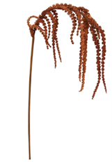 AMARANTHUS HANGING SPRAY 39&quot;