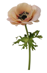 ANENOME 17.5" LINEN PEACH