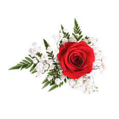 SINGLE ROSE BOUQUET