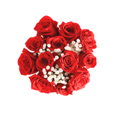 ROSE BQT-6 STEM w/ FILLER