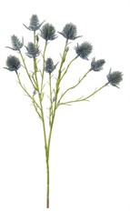 ERYNGIUM SPRAY 27" BLUE
