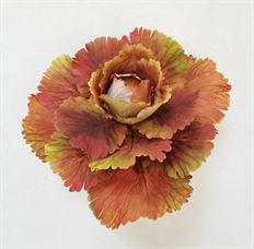 CABBAGE STEM 28X10"AUTUMN