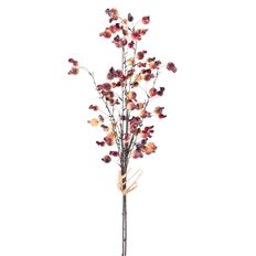 POMEGRANATE SPRAY WR 36" MIXED