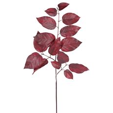 SALAL LEAF SPRAY 29" BURG