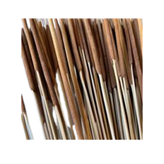 CATTAILS PENCIL DARK BROWN 100/PK