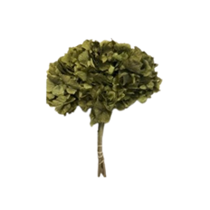 HYDRANGEA HEAD 6" BASIL 1-3/PK