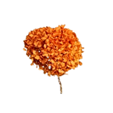 HYDRANGEA HEAD 6" AUTUMN 1-3/PK