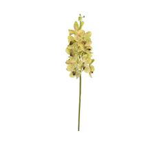 ORCHID VANDA JUST CUT 27" GRN