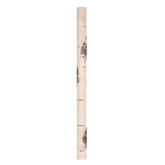 BIRCH FAUX POLE 22.5X3" WHITE