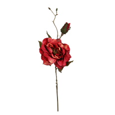 ROSE 28" OPEN BURGUNDY