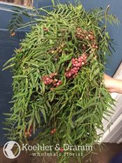 3X HANGING PEPPER BERRY