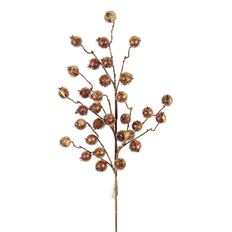 CRABAPPLE SPRAY 27" BROWN/GOLD