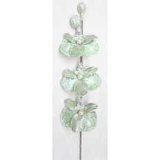PHALANOPSIS ORCHID ICED 34" MINT