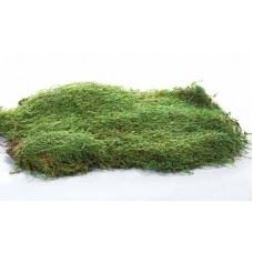 MOSS SHEET 2 OZ NATURAL