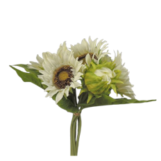 SUNFLOWER BUNDLE X 7  13"CREAM