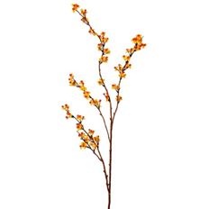 BITTERSWEET SPRAY 43"