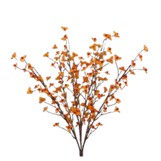 BITTERSWEET BUSH X7 22"