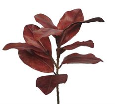 MAGNOLIA SPRAY 23"CINN SPICE