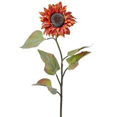 SUNFLOWER STEM 30" NUTMEG