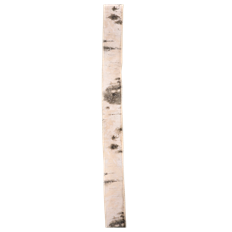 BIRCH WHITE W 1.5X25YD WHITE
