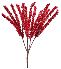 BERRY BUSH 18" RED WR