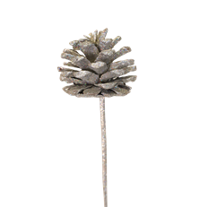 PINECONE AUSTRICA SILVER GLIT 100/C