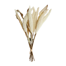 FOXTAIL BUNDLE X7 17" CREAM