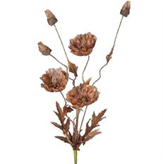 POPPY SPRAY 22" BROWN